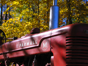 Farmall M