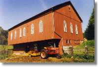 The barn in summer