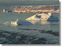 Saunders Island